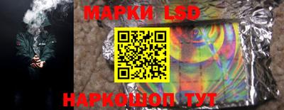 Альфа ПВП Новодвинск