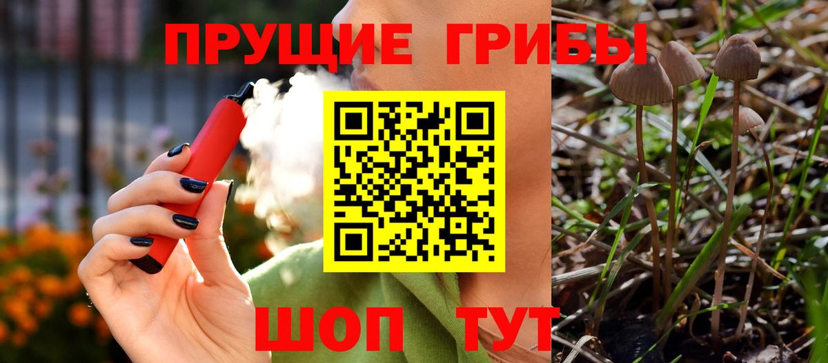 Псилоцибиновые грибы Psilocybe  Вход с VPN  Сосновоборск 