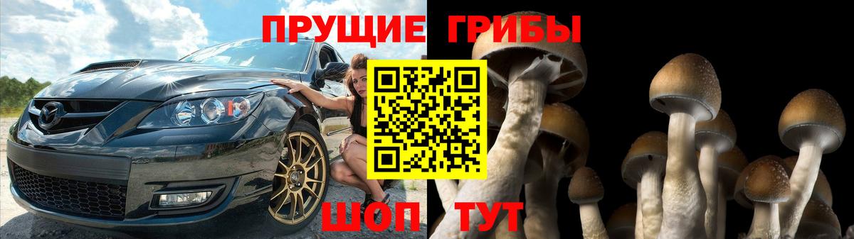 Галлюциногенные грибы Magic Shrooms Сосновоборск